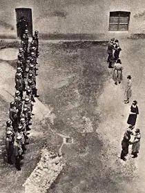 合作女孩 worldwartwo.filminspector.com