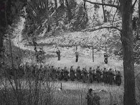 合作女孩 worldwartwo.filminspector.com