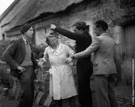 合作女孩 worldwartwo.filminspector.com