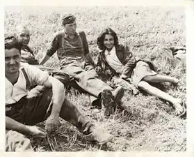 合作女孩 worldwartwo.filminspector.com